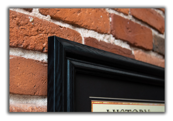 History of the American Police Officer - Framed 2" Black Double Matted, Grooved Molding 6" x 24"