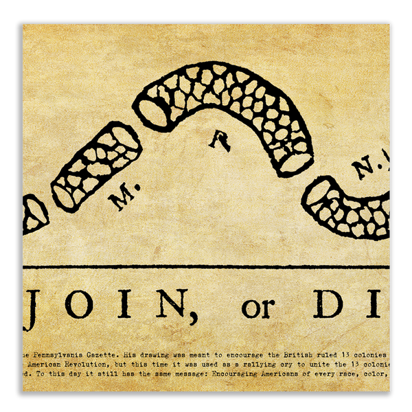 Join or Die - Framed 2” Black Double Matted, Grooved Molding 11 ¾" x 36"