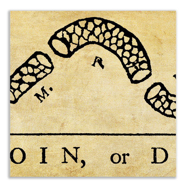 Join or Die - Framed 1", printed with a matte finish, 6" x 24"