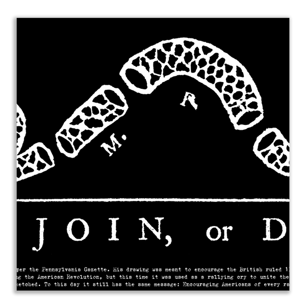 Join or Die - Unframed 11 ¾ x 36"