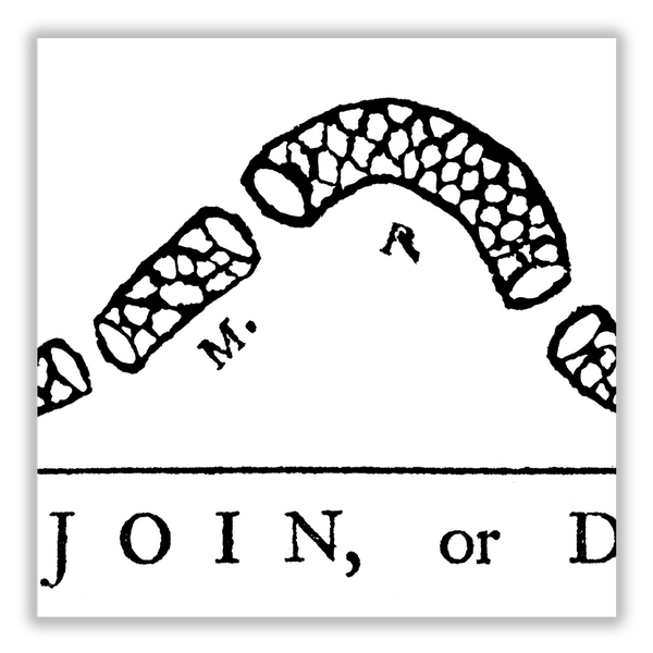 Join or Die - Framed 2” Black Double Matted, Grooved Molding 6"x24”