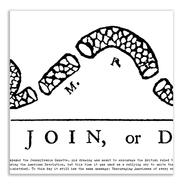 Join or Die - Framed 2” Black Double Matted, Grooved Molding 11 ¾" x 36"