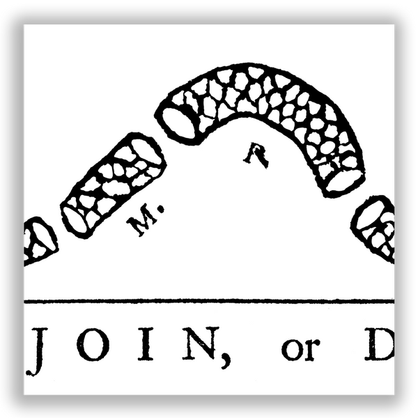 Join or Die - Framed 1", printed with a matte finish, 6" x 24"