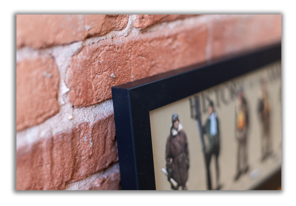 History of the American Aviator - Framed 1", printed with a matte finish, 6" x 24"