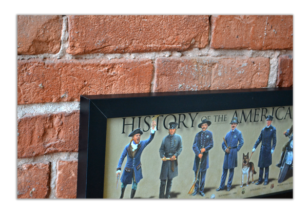 History of the American Police Officer - Framed 1", printed with a matte finish, 6" x 24"