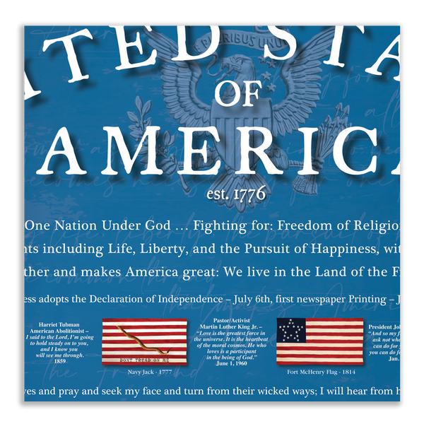 USA 1776 - Framed 2” Black Double Matted, Flat Molding 11 ¾" x 36"