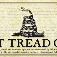 Don't Tread on Me - Framed 2” Black Double Matted, Print Size 11 ¾" x 36"