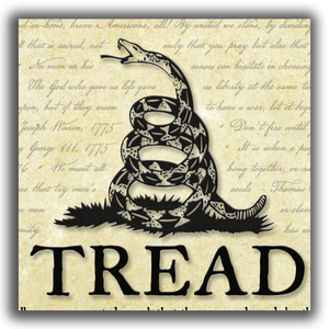 Don't Tread on Me - Plaque - Beveled Edge with a pebble textured finish 6" x 24"