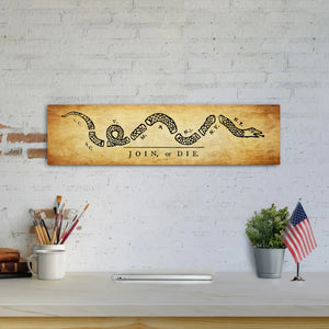 Join or Die - Unframed 6" x 24"