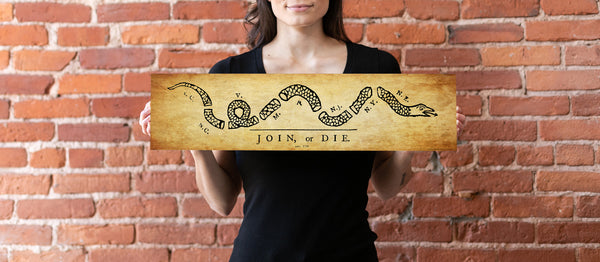 Join or Die - Unframed 6" x 24"