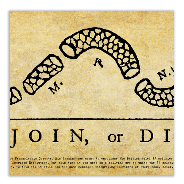 Join or Die - Framed 2” Black Double Matted, Grooved Molding 11 ¾" x 36”