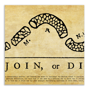 Join or Die - Framed 2” Black Double Matted, Flat Molding 11 ¾" x 36"