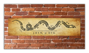 Join or Die - Unframed 6" x 24"