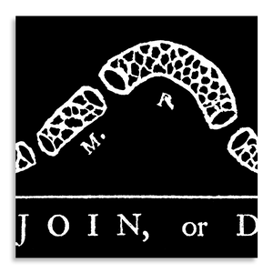Join or Die - Framed 2" Black Double Matted, Flat Molding 6" x 24"