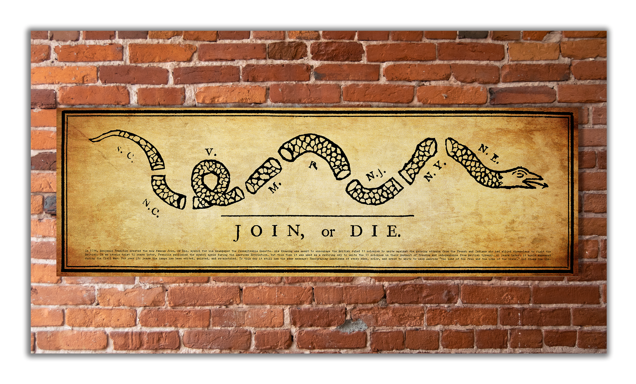 Join or Die - Unframed 11 ¾ x 36” – History America