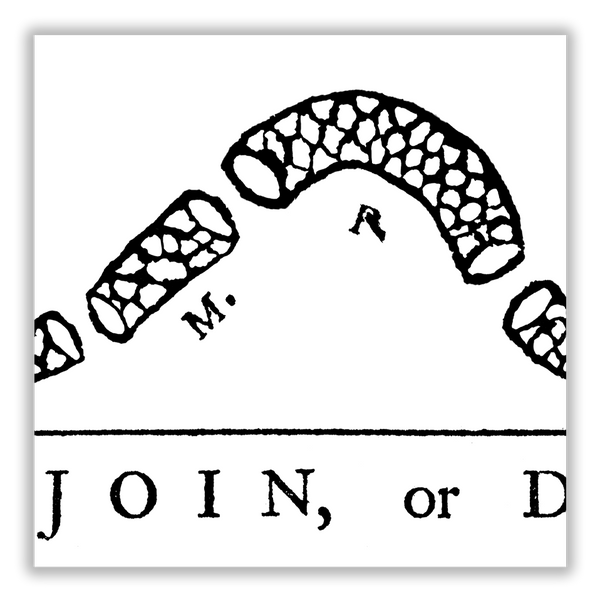 Join or Die - Framed 2" Black Double Matted, Grooved Molding 6" x 24"