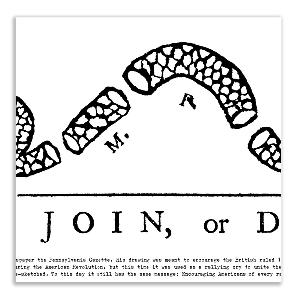 Join or Die - Framed 2” Black Double Matted, Flat Molding 11 ¾" x 36”