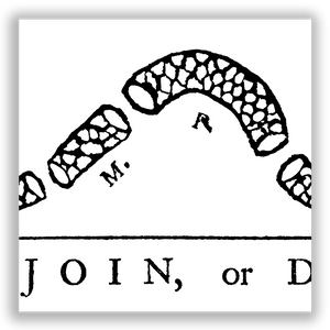 Join or Die - Framed 1", printed with a matte finish, 6" x 24"