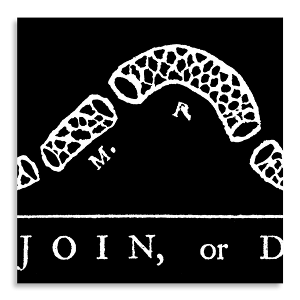 Join or Die - Framed 1", printed with a matte finish, 6" x 24"