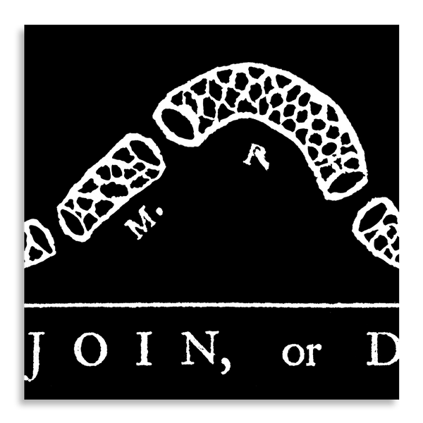 Join or Die - Framed 1”, printed with a matte finish, 6" x 24”